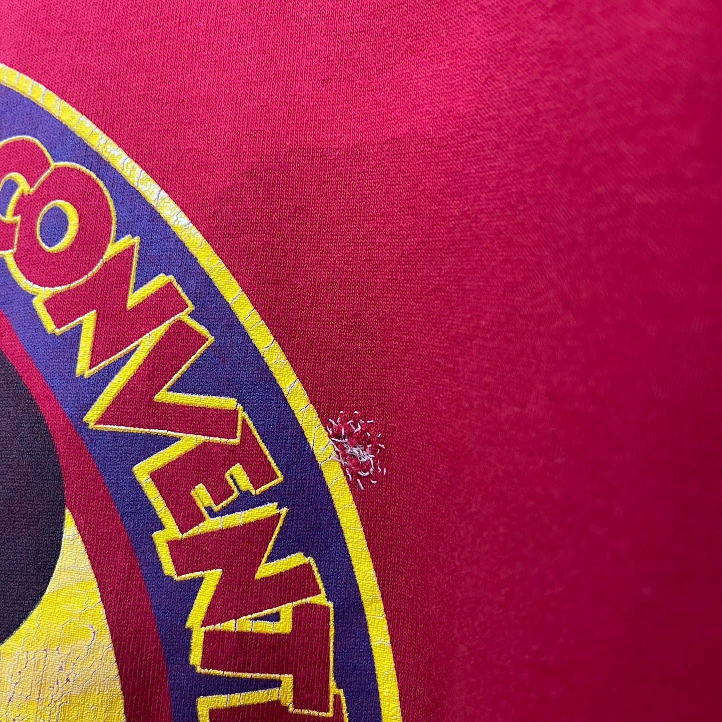 90s Disneyland Disneyana Convention Tee