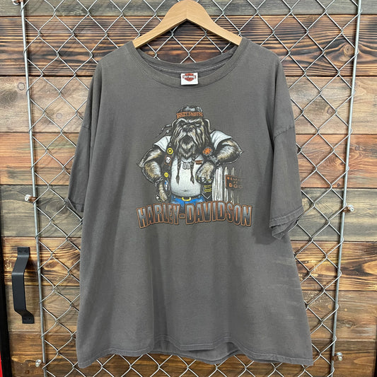 Harley Badlands Scruffy Tee