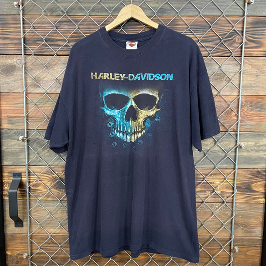 Harley Grand Canyon Skull Tee